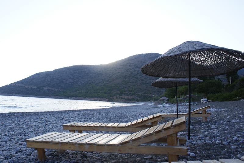 Begonvil gölgesi