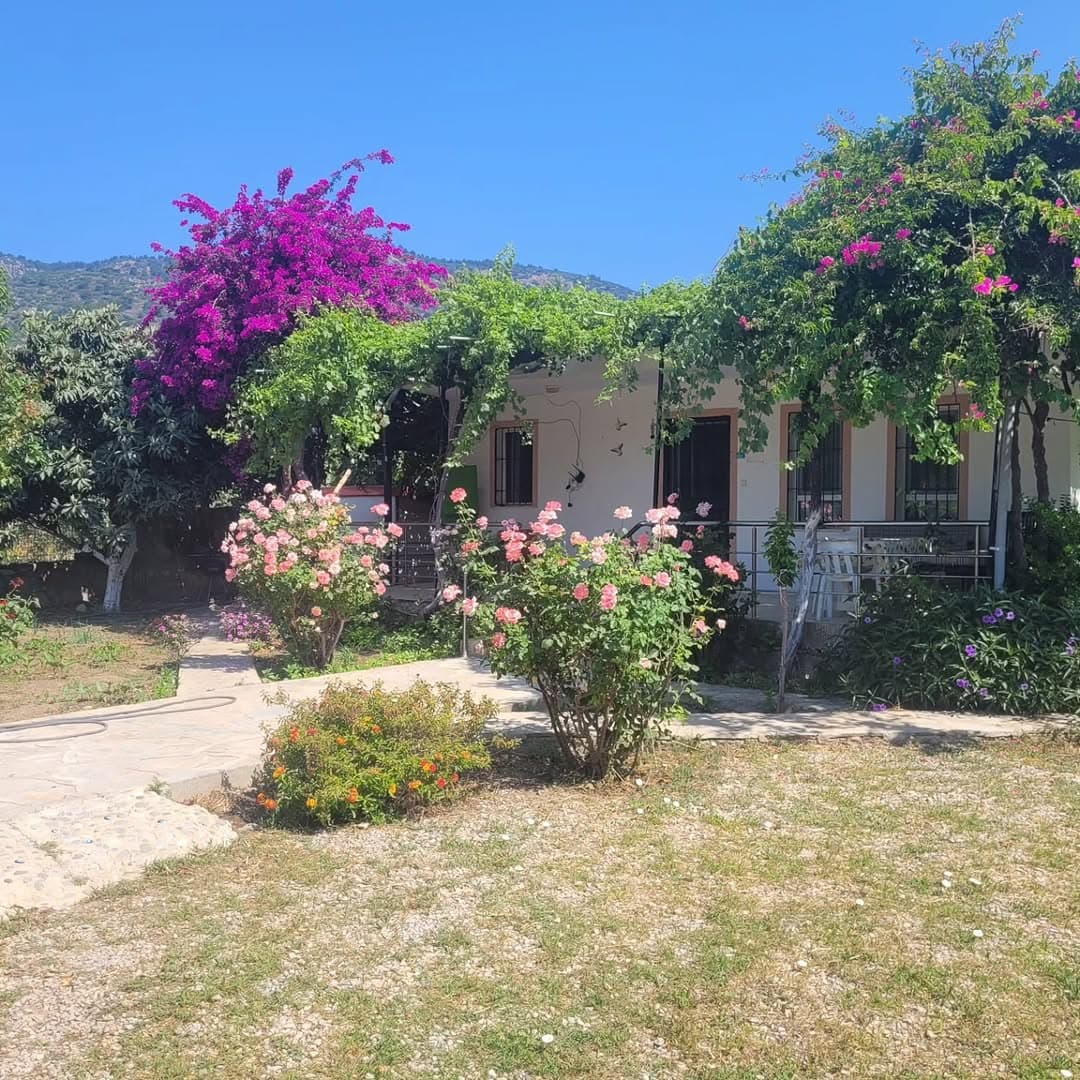 Datça manzara 1