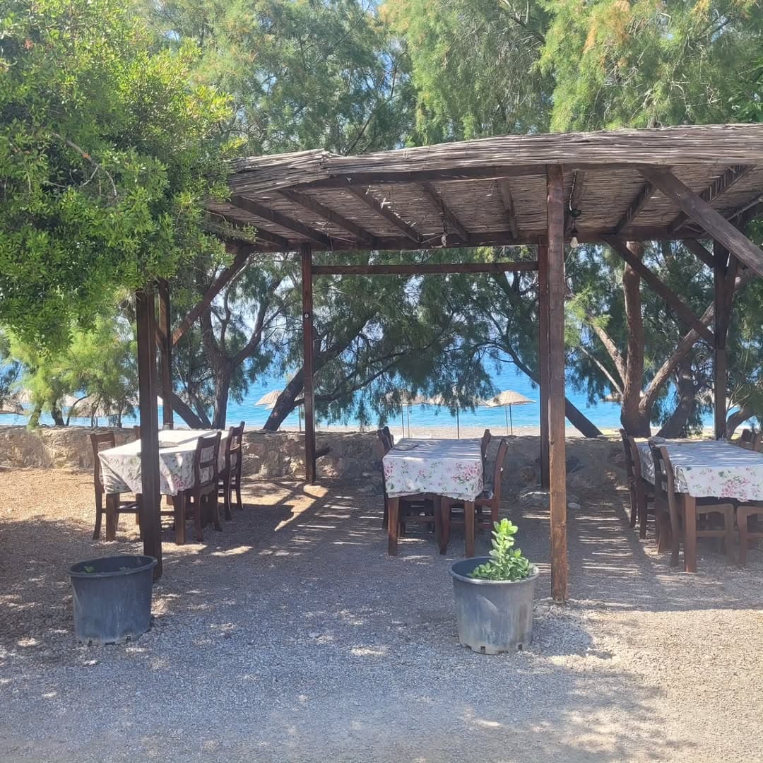 Bağ Evi Apart fotoğraf 2