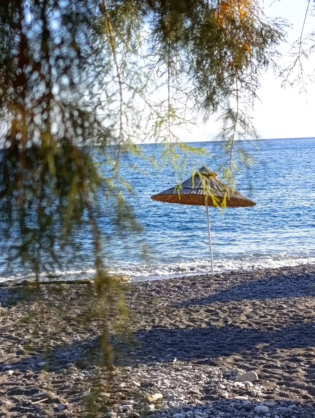 Bağ Evi Apart fotoğraf 10