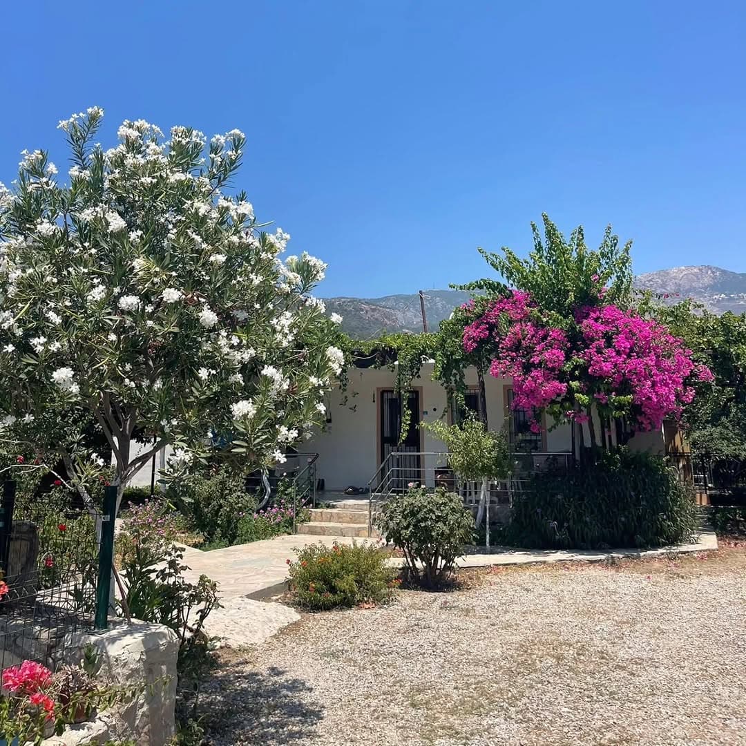Bağ Evi Apart fotoğraf 19