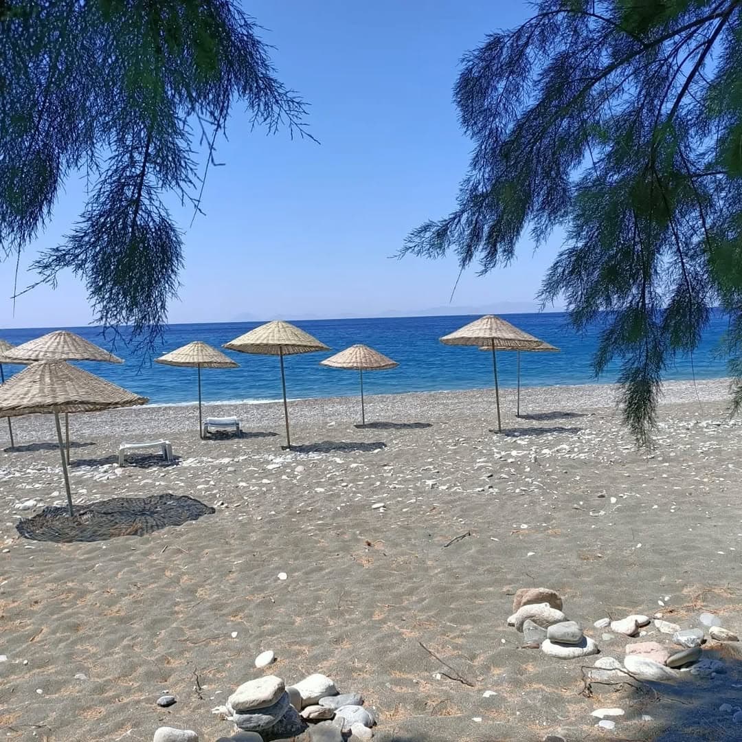 Bağ Evi Apart fotoğraf 24