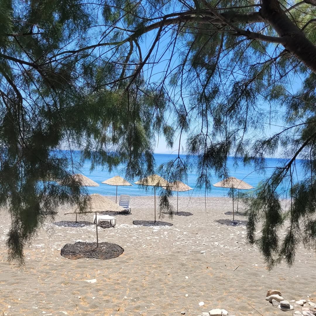 Bağ Evi Apart fotoğraf 27
