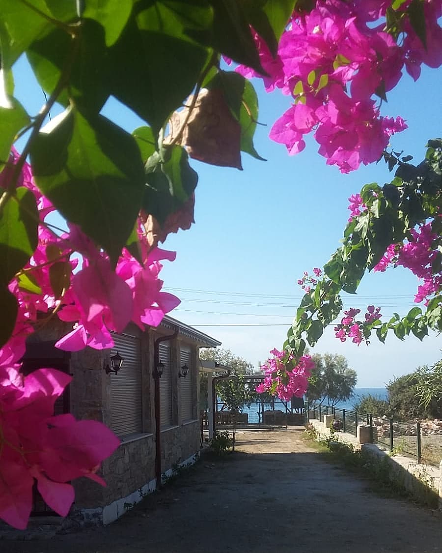 Bağ Evi Apart fotoğraf 42